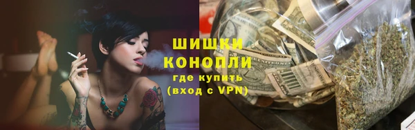 амф Краснослободск