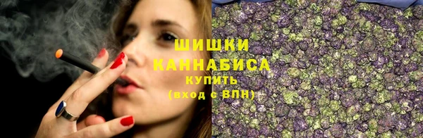 2c-b Лабытнанги