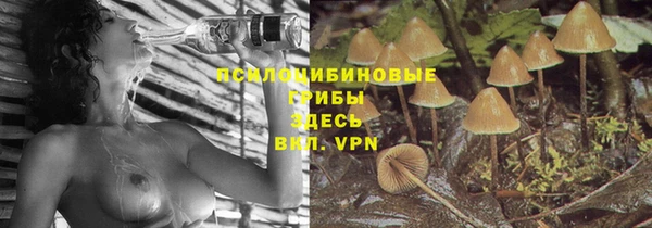 PSILOCYBIN Ладушкин